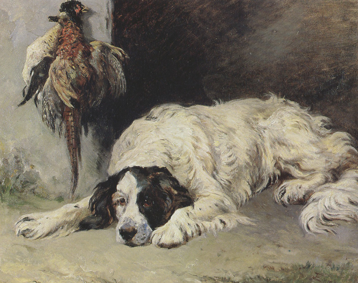 John emms An English Setter at the end of the Day (mk37)